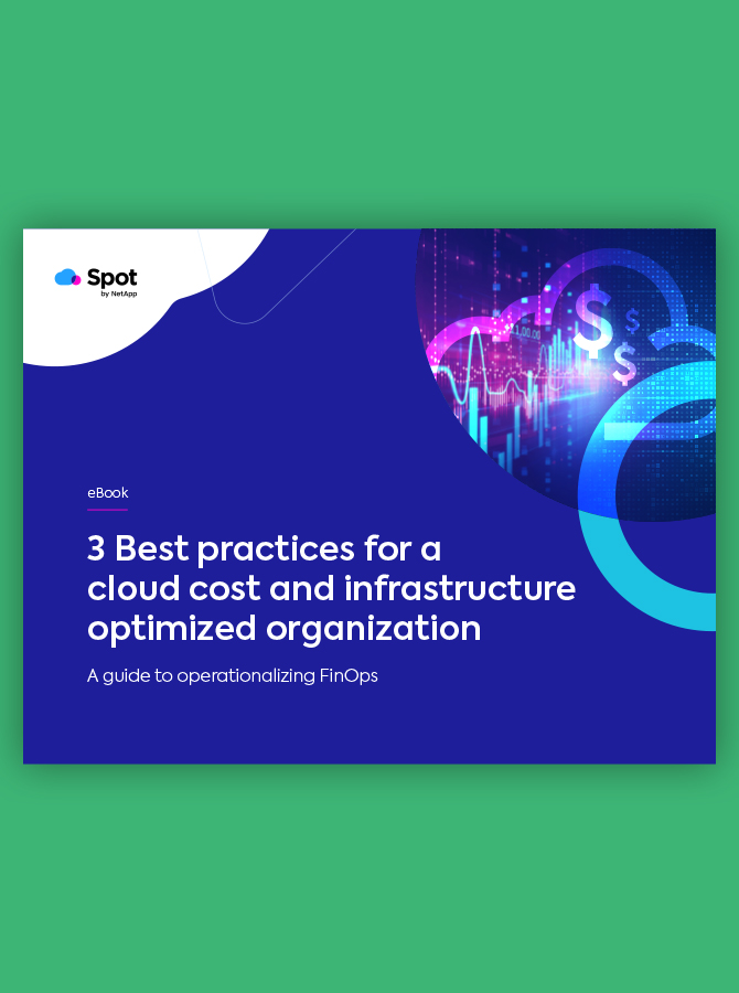 3 Best Practices for a Cloud Cost and Infrastructure Optimized Organization